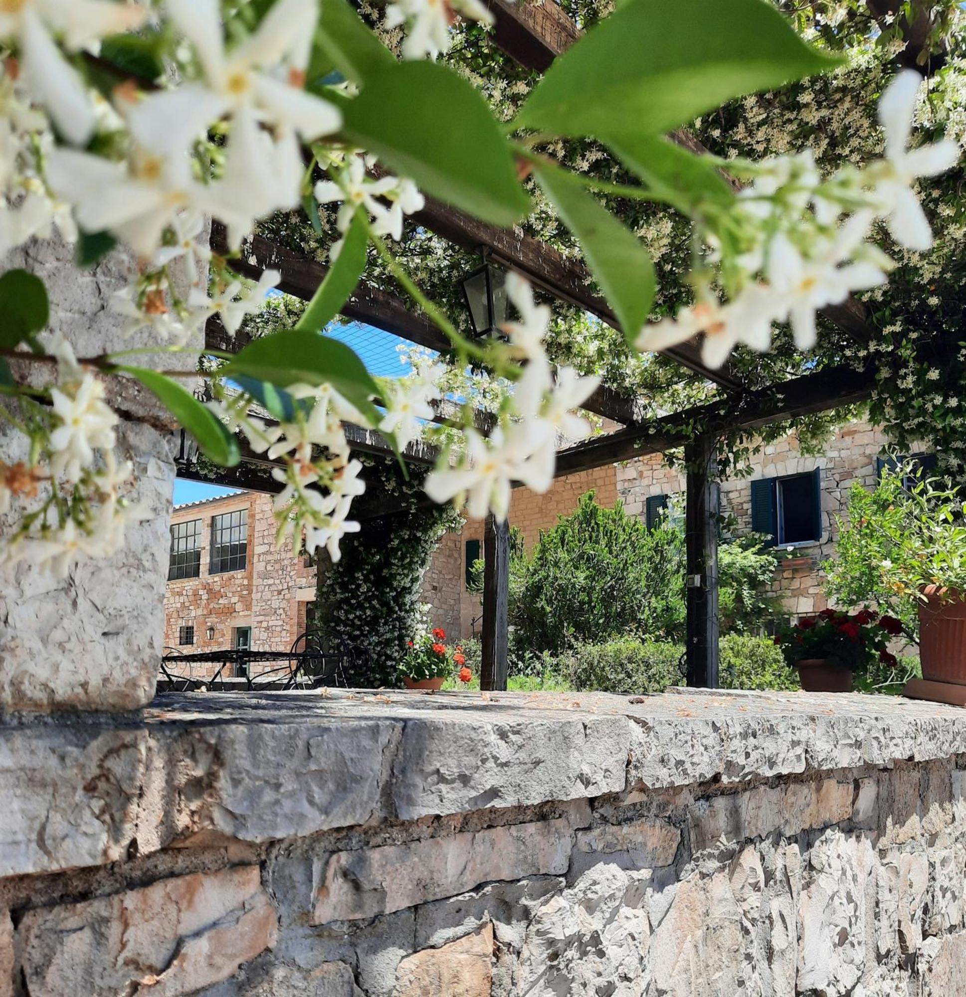 Fratta Todina Agriturismo Tenuta Conti Faina מראה חיצוני תמונה